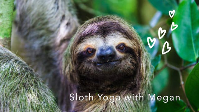 KIDS - Sloth Yoga 🦥