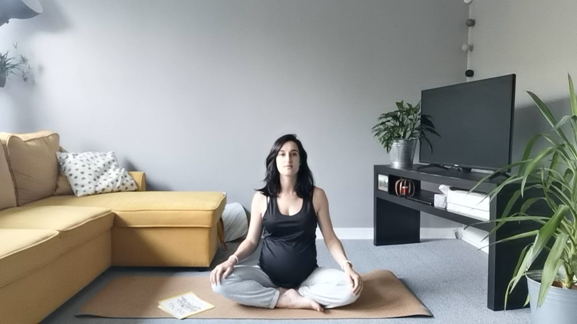 FRENCH - Le corps humain (The human body) 