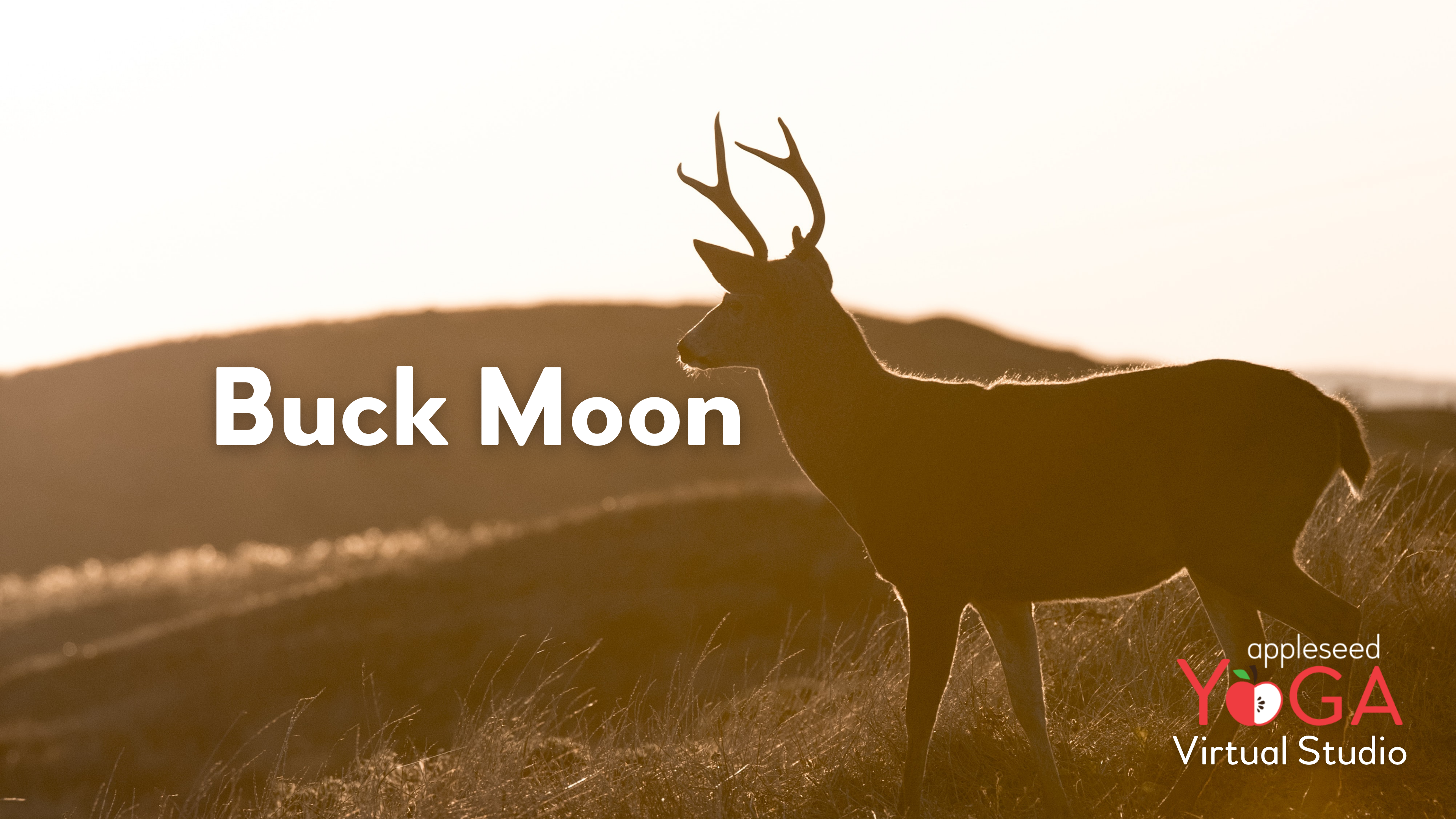 Buck Moon Yoga 🦌