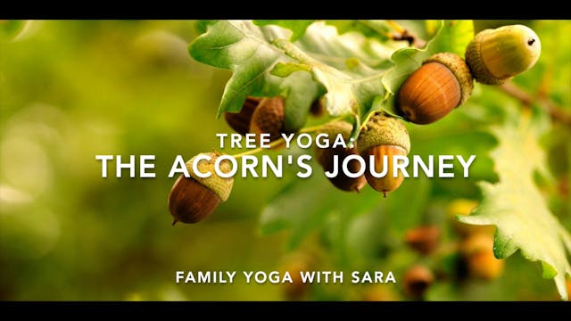 FREE CLASS! FAMILY - The Acorn's Journey