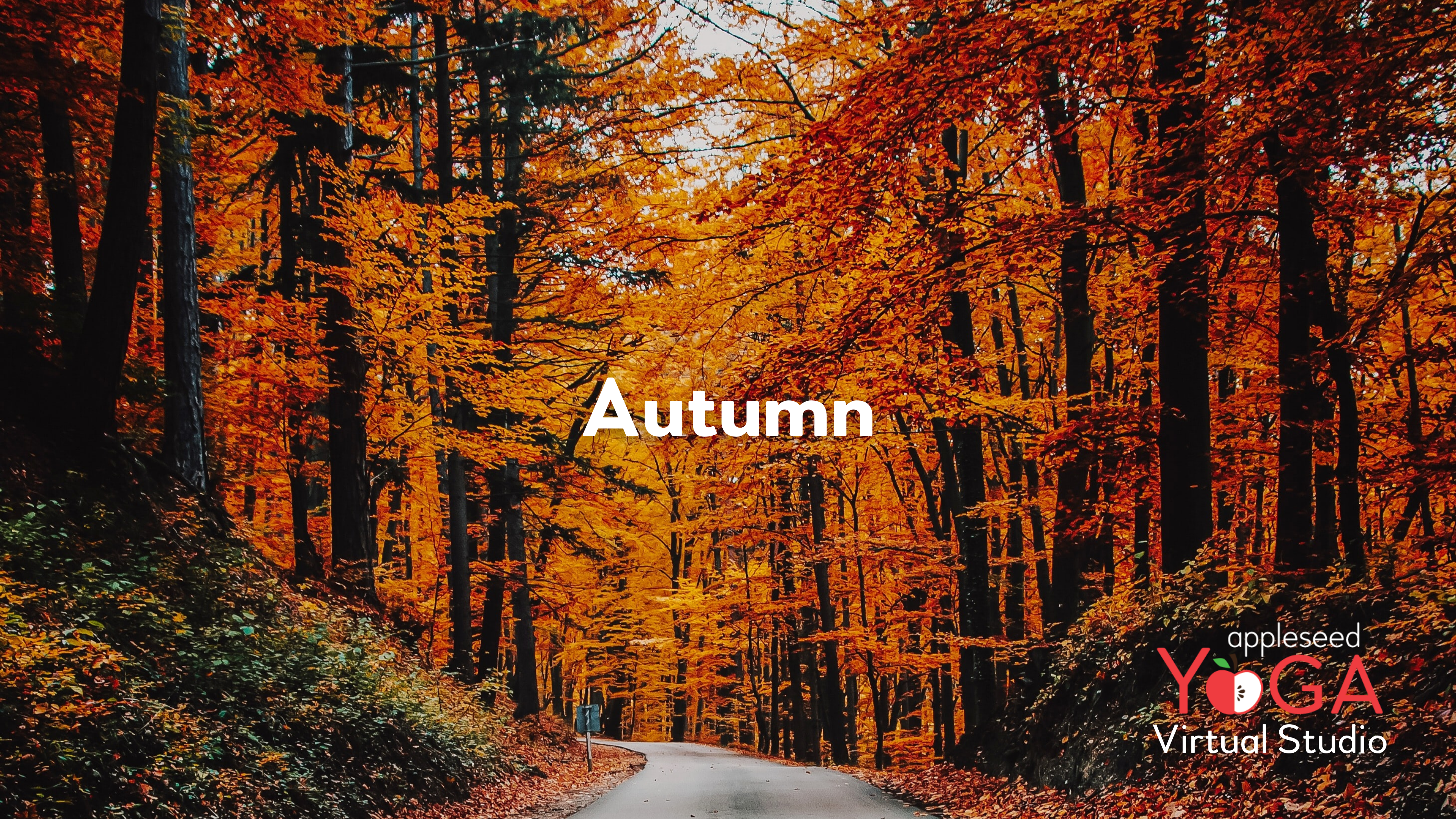 Autumn Yoga