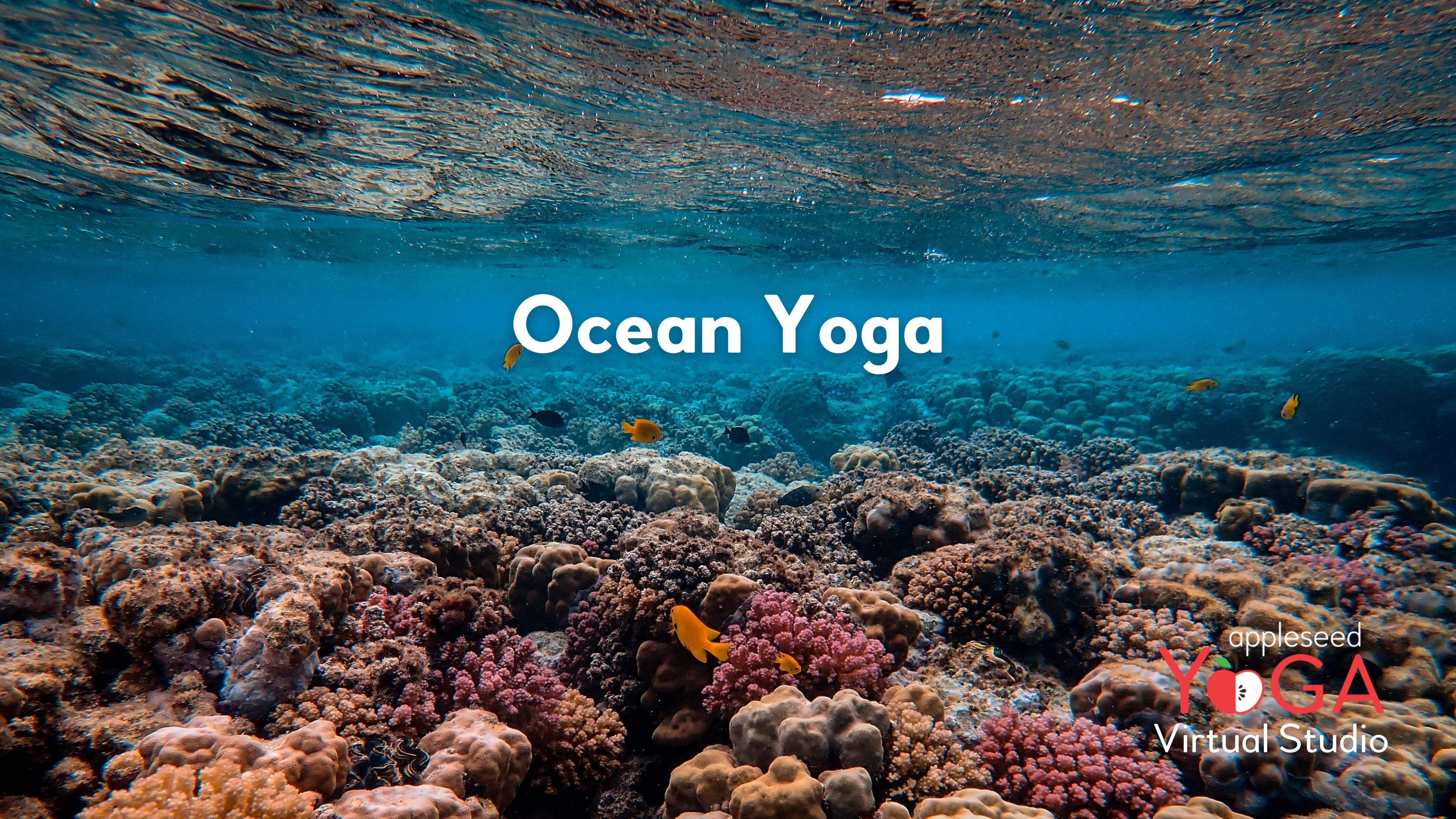 Ocean Yoga