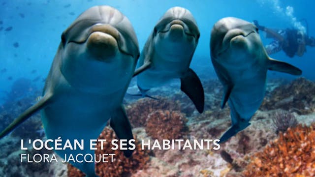 FRENCH - L'océan et ses habitants (The ocean and it's inhabitants!)