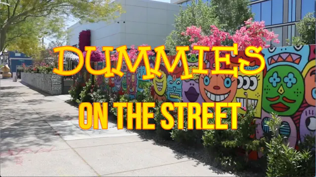 Dummies on The Street