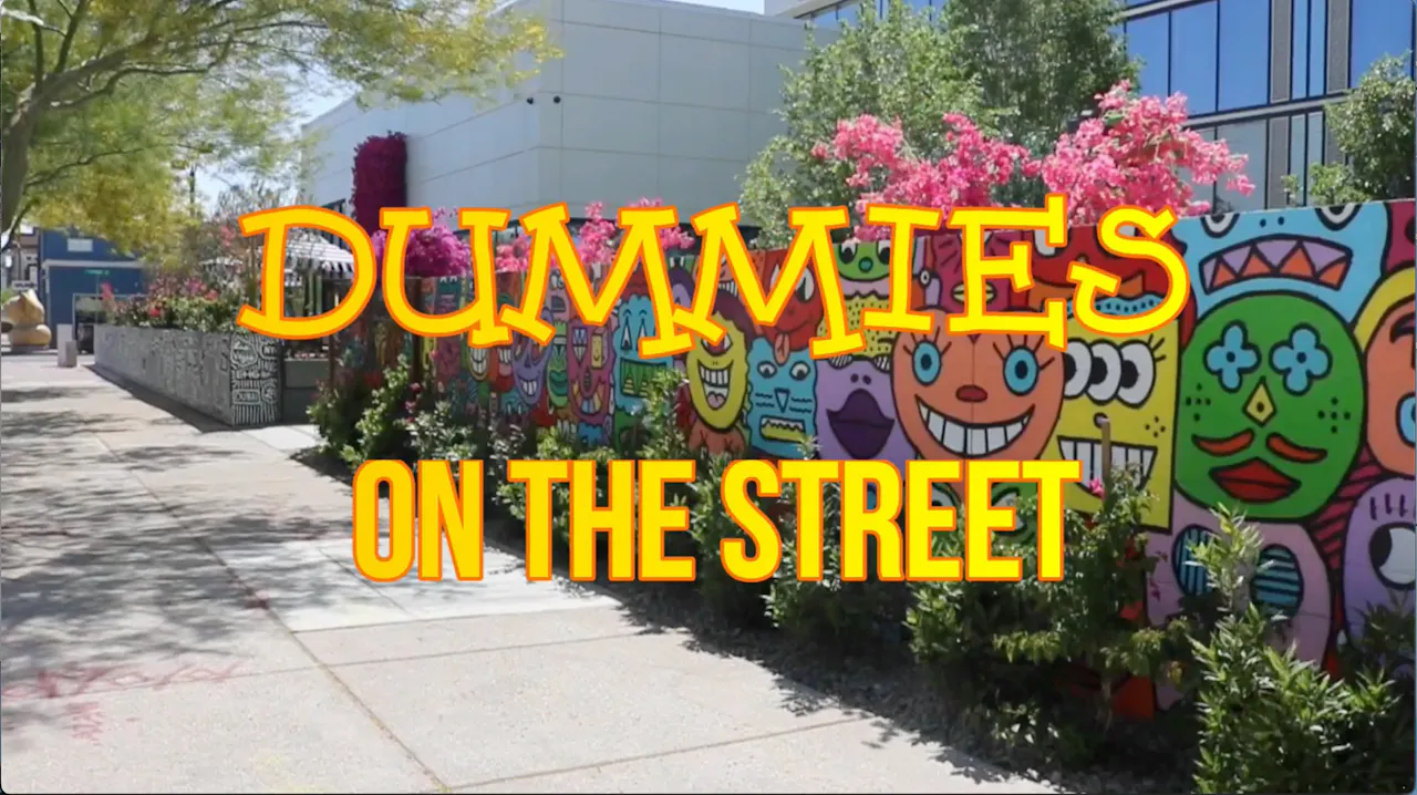 Dummies on The Street