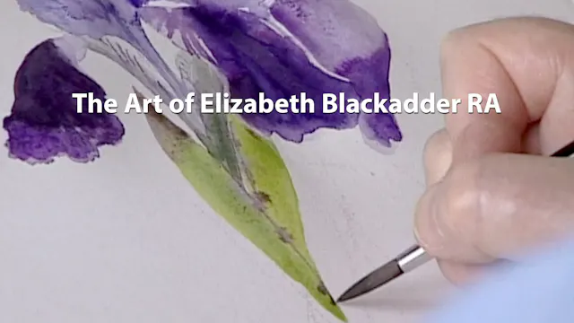 The Art of Elizabeth Blackadder RA