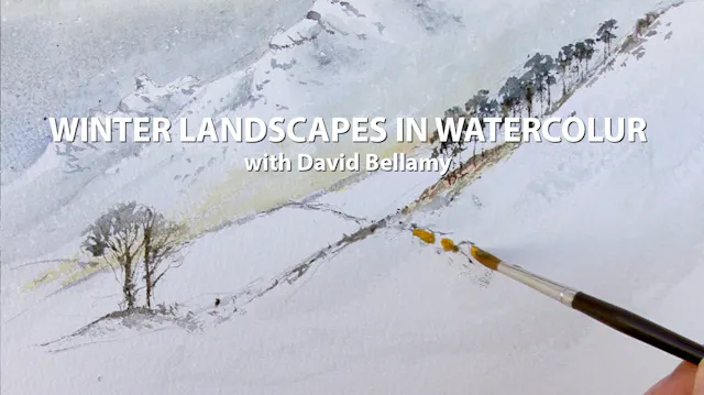 Winter Landscapes in Watercolour: David Bellamy