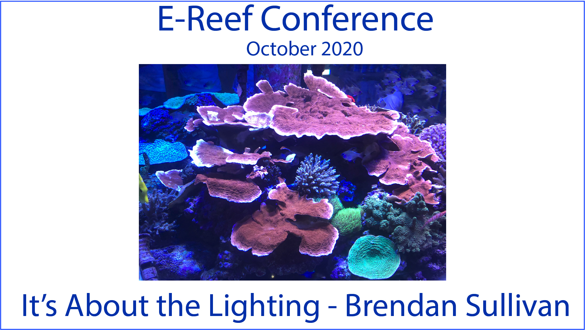 Happy Corals: It's all about the lighting! (E-Reef Conference 2020)