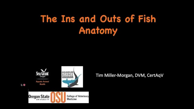 The Ins and Outs of Fish Anatomy (E-Aquarium Conference 2020)