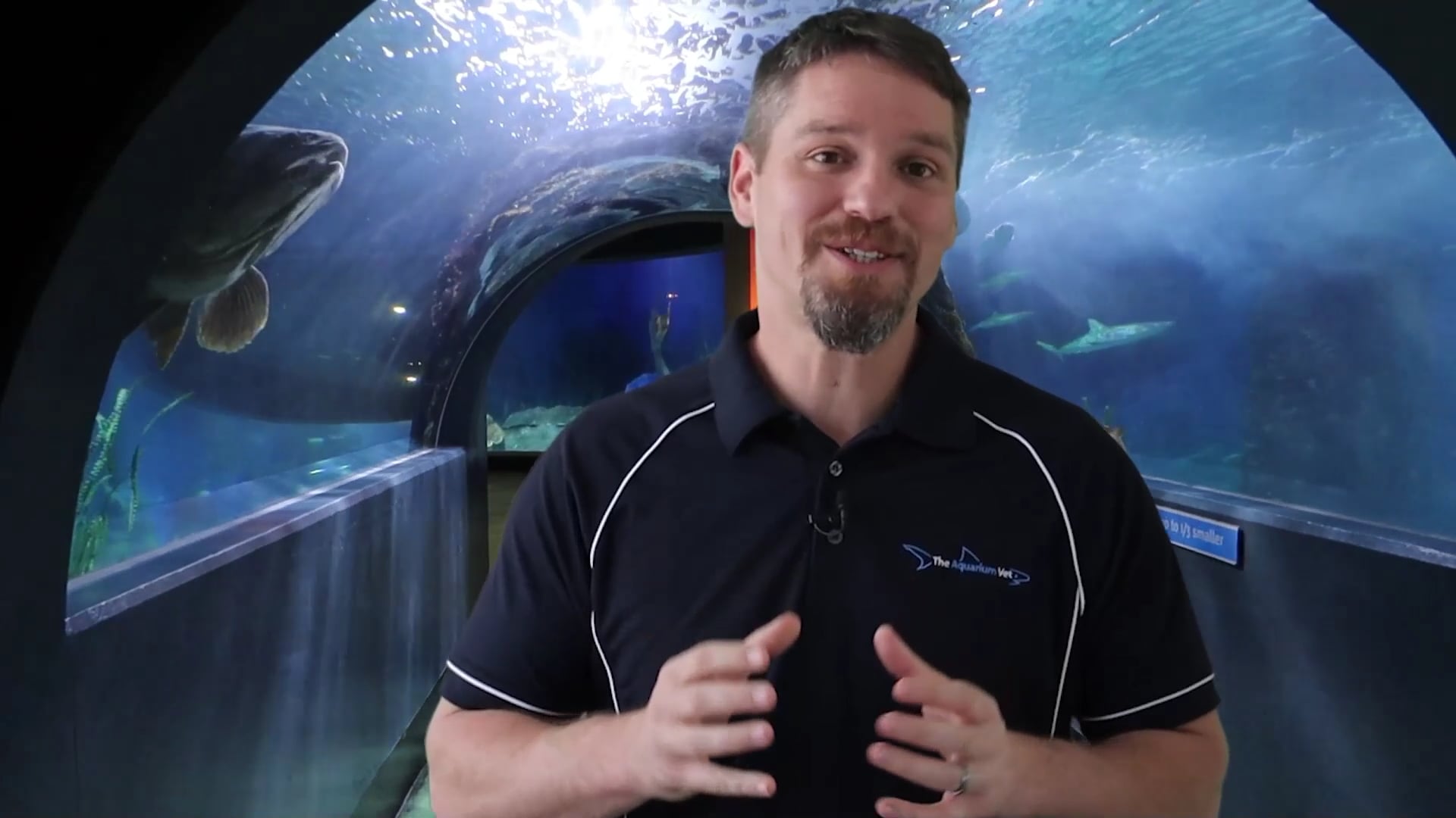 Aquarium School Nitrate Lesson