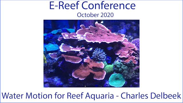 Water Motion in a Reef Aquarium (E-Reef Conference 2020)