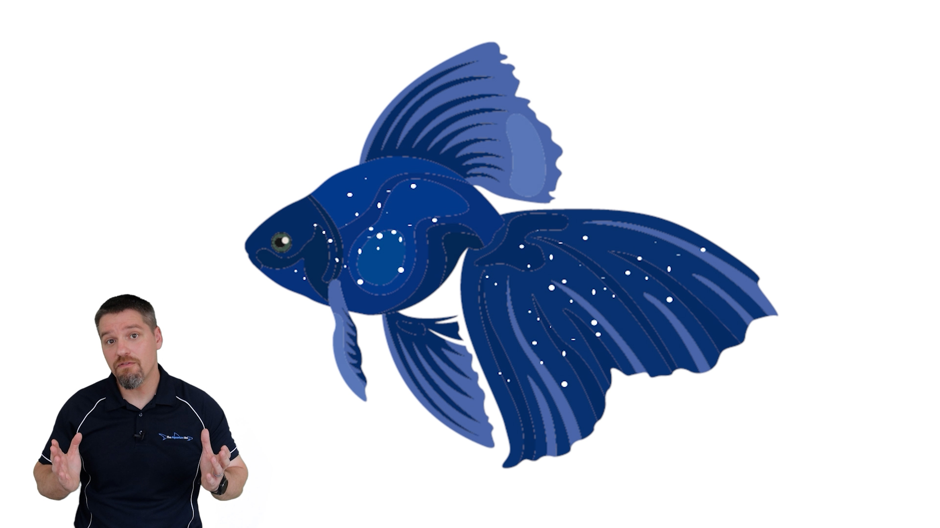 Not all white spots are White Spot Disease