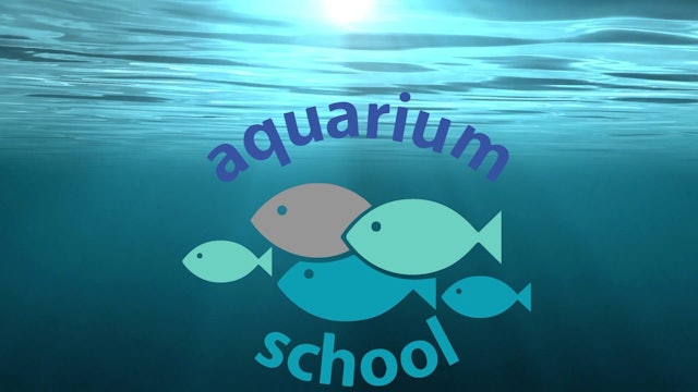 Aquarium School Nitrite Testing Lesson