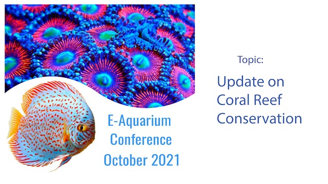 Update on the Florida Reef Tract Issue (E-Aquarium Conference 2021)