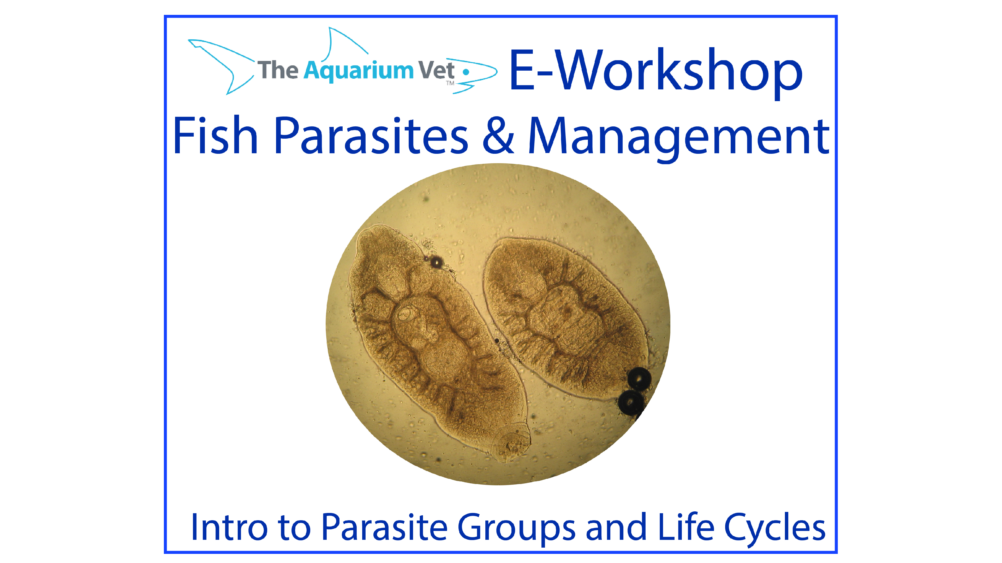 Introduction to Parasite Groups (E-Workshop: Fish Parasites & Management 2020)