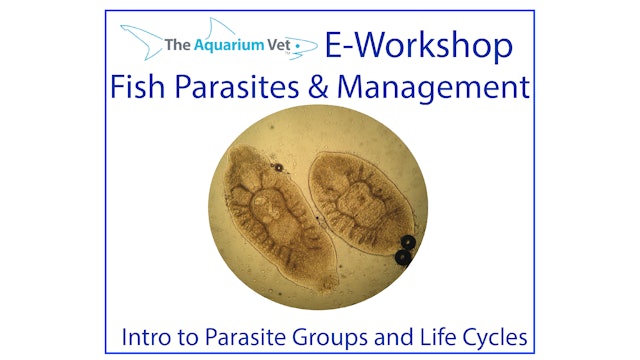Introduction to Parasite Groups (E-Workshop: Fish Parasites & Management 2020)