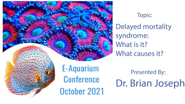 Delayed mortality syndrome  What is it?  (E-Aquarium Conference 2021)