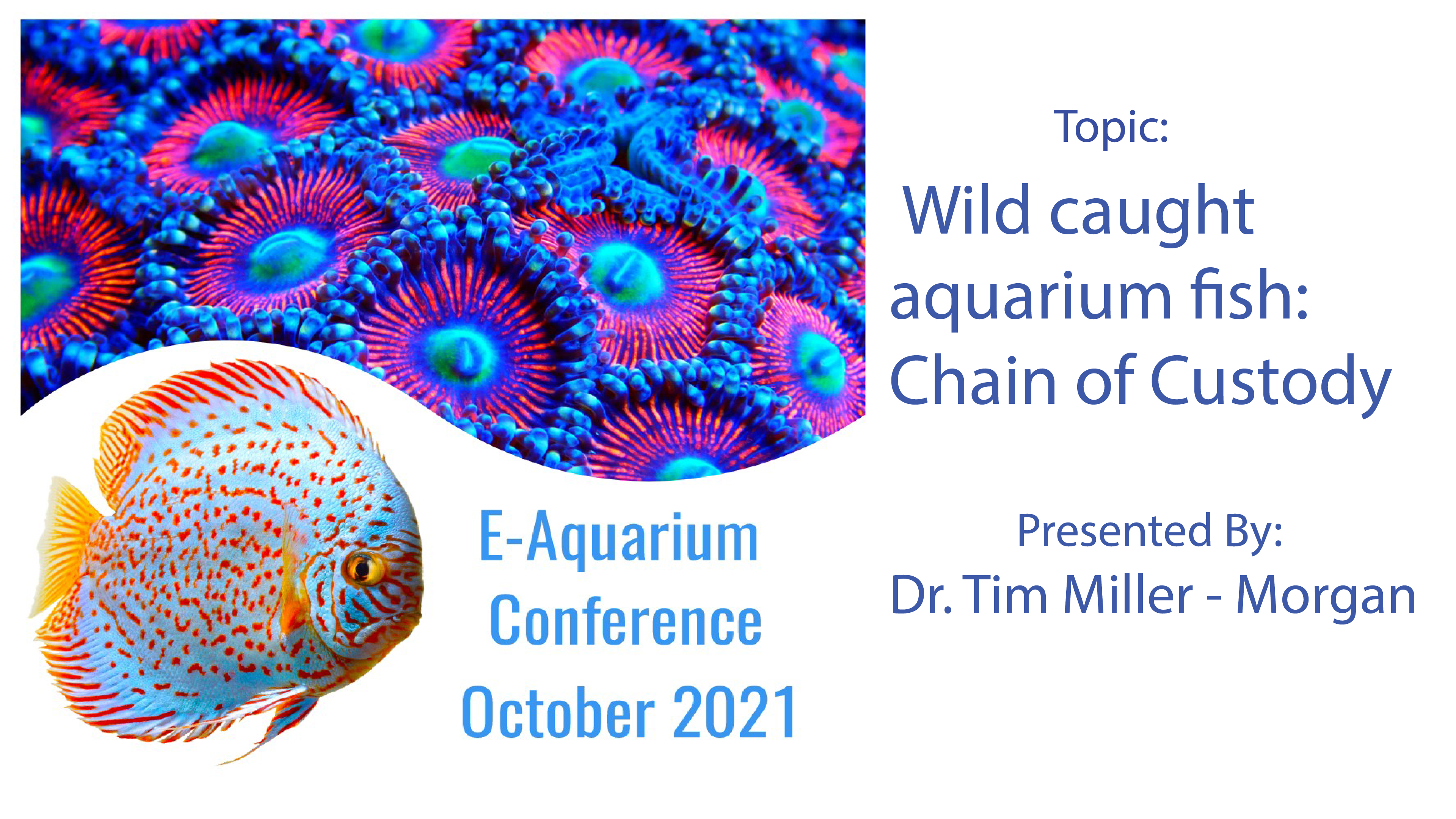 Wild caught aquarium fish: Chain of Custody (E-Aquarium Conference 2021)