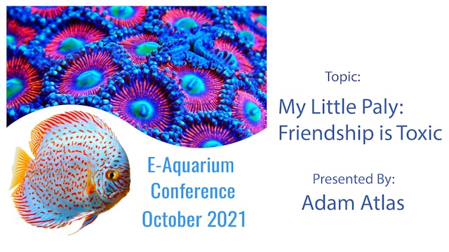 My Little Paly: Friendship is Toxic (E-Aquarium Conference 2021)