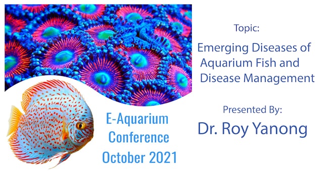 Emerging Diseases of Aquarium Fish and Management(E-Aquarium Conference 2021)