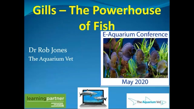 Gills the Powerhouse of Fish (E-Aquarium Conference 2020)