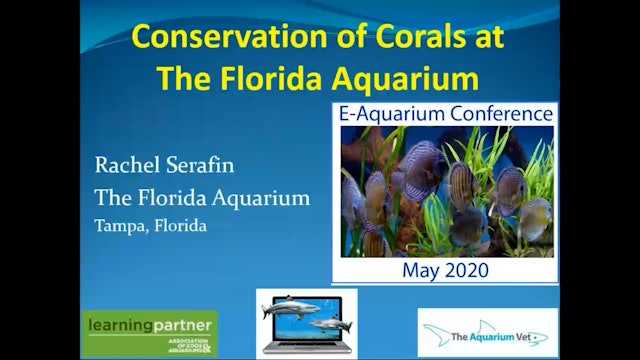 Coral Restoration at the Florida Aquarium (E-Aquarium Conference 2020)