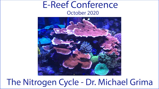 The Nitrogen Cycle in Marine Systems (E-Reef Conference 2020)