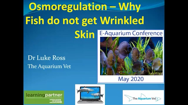 Osmoregulation:  Why Fish Don't Get Wrinkly Skin (E-Aquarium Conference 2020)