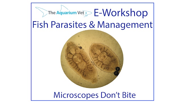 Microscopes Don't Bite (E-Workshop: Fish Parasites & Management 2020)