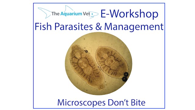 Microscopes Don't Bite (E-Workshop: F...