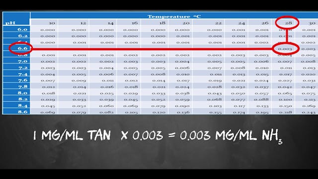 Aquarium School Ammonia Testing Lesson
