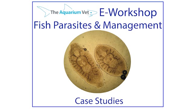 Parasite Case Studies (E-Workshop: Fi...