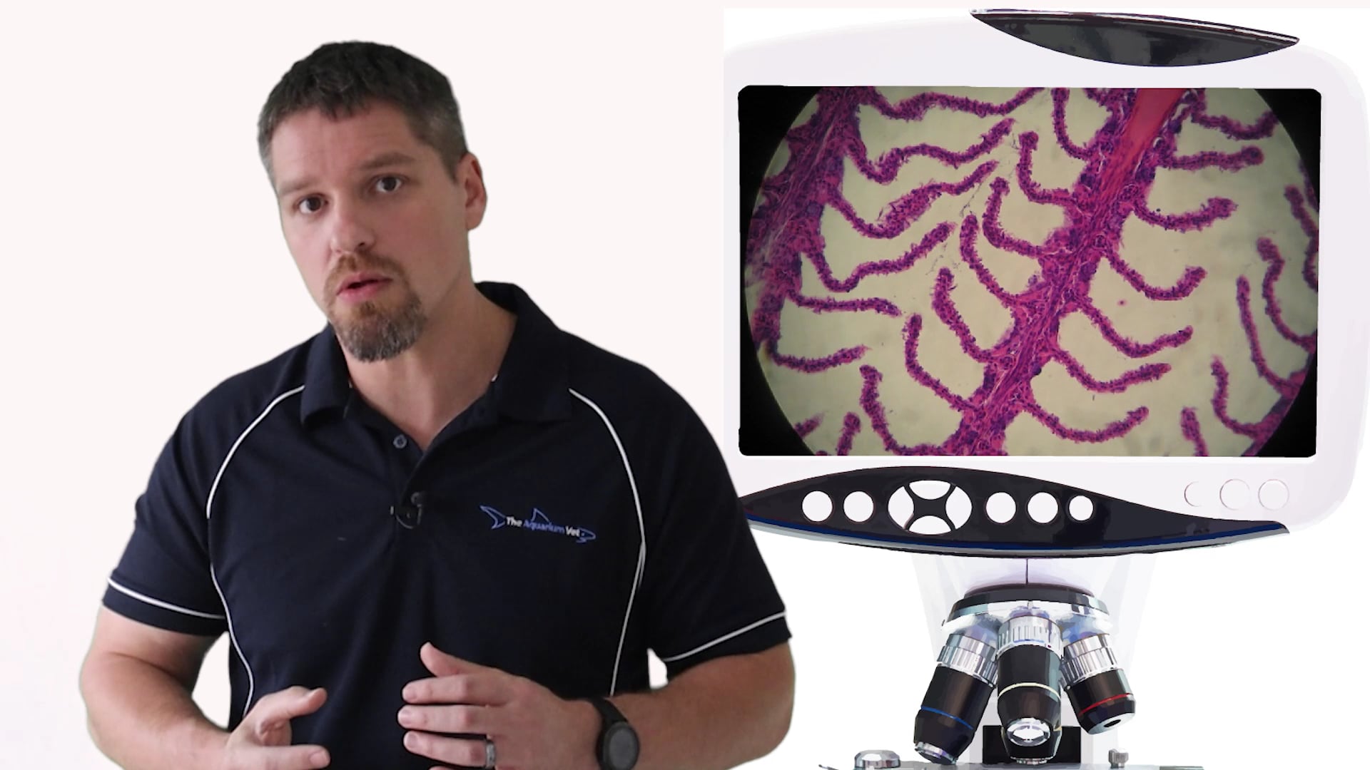 Aquarium School Disease and Water Quality Lesson