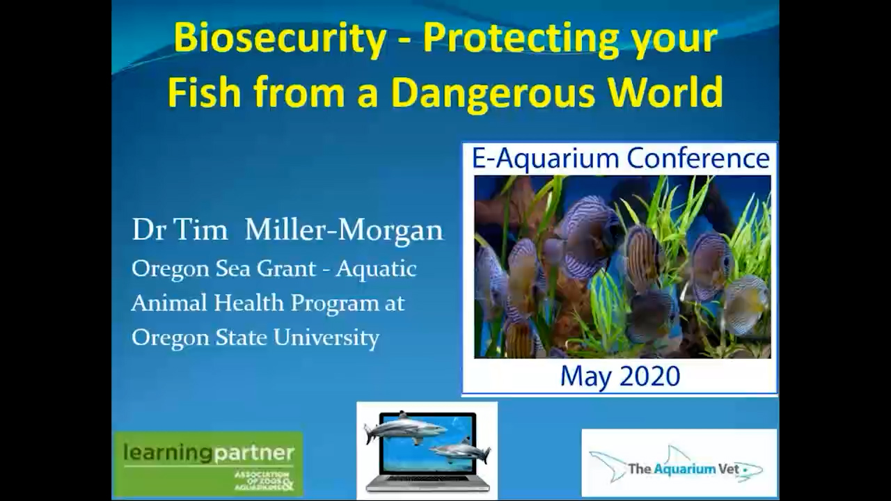 Protecting your Fish from a Dangerous World (E-Aquarium Conference 2020)