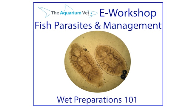 Wet Preps 101 (E-Workshop: Fish Parasites & Management 2020)