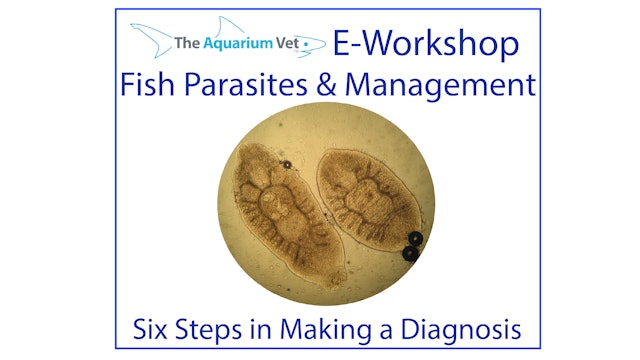 Six Steps in Making a Diagnosis (E-Workshop: Fish Parasites & Management 2020)