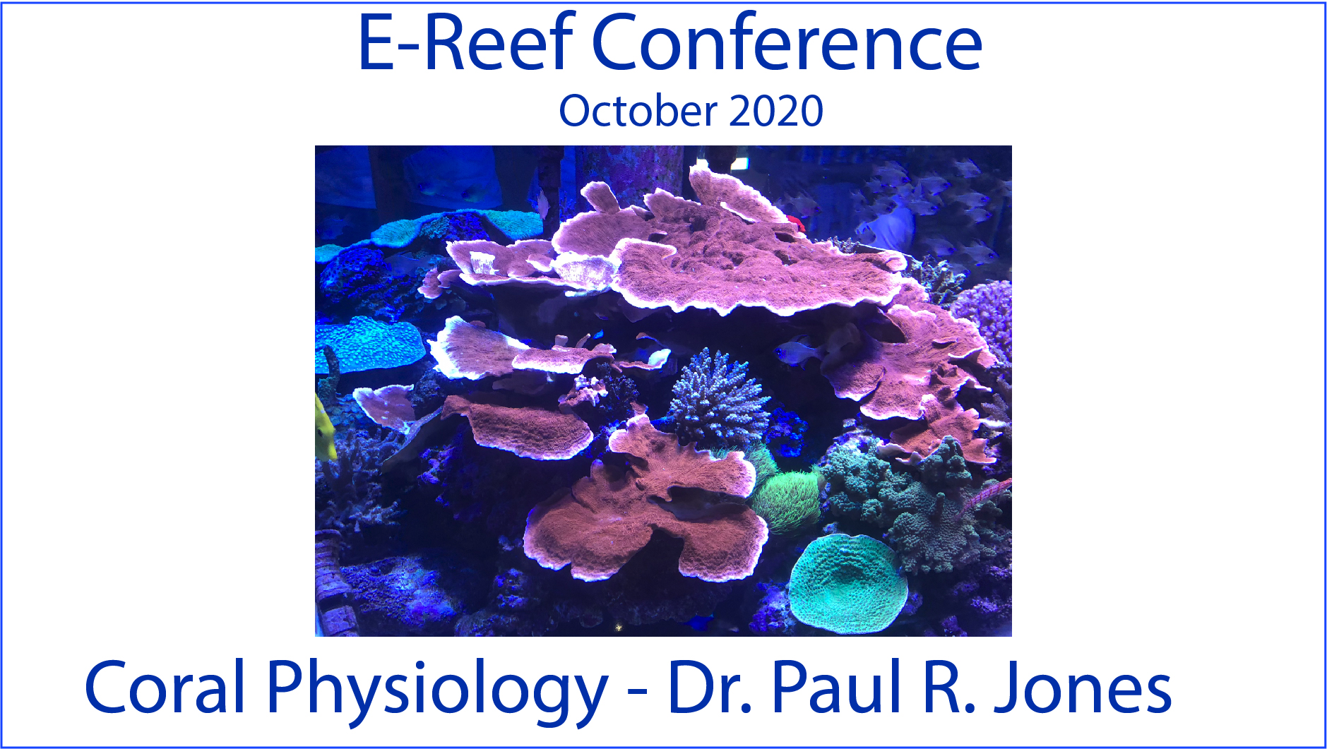 Coral Physiology (E-Reef Conference 2020)