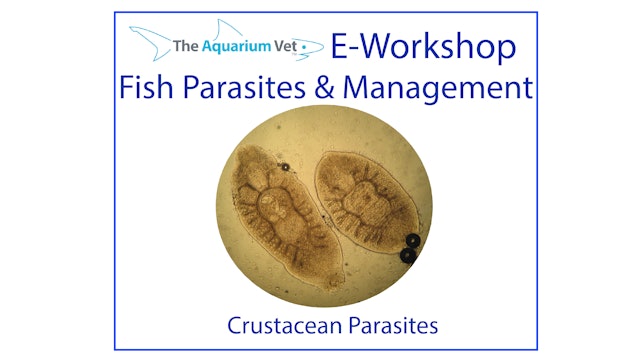 Parasitic Crustaceans (E-Workshop: Fish Parasites & Management 2020)