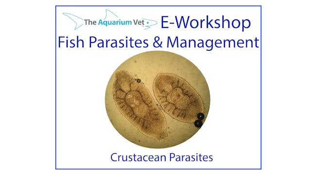 Parasitic Crustaceans (E-Workshop: Fi...