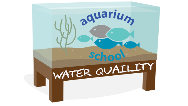 Water Quality