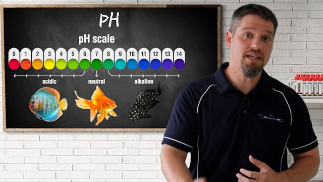 Aquarium School pH Lesson