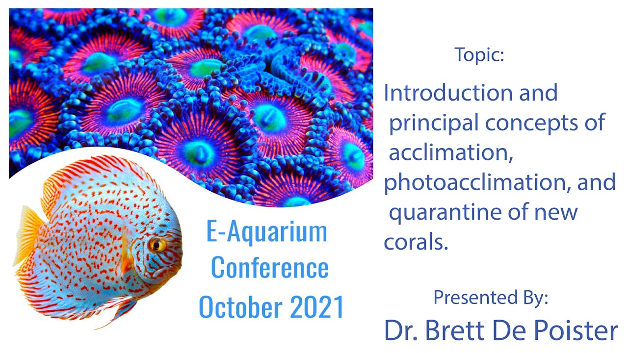 Coral Acclimation and Quarantine (EAquarium Conference 2021) Corals