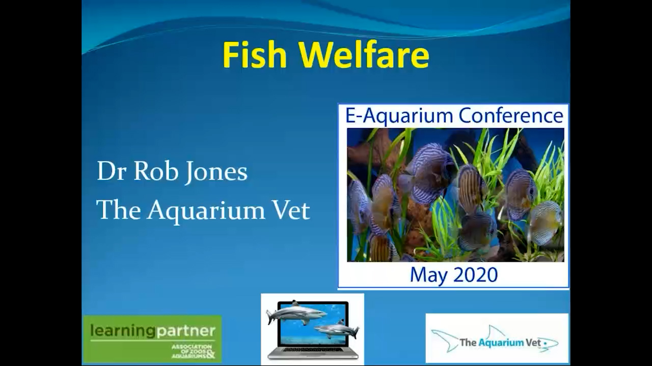 Fish Welfare (E-Aquarium Conference 2020)