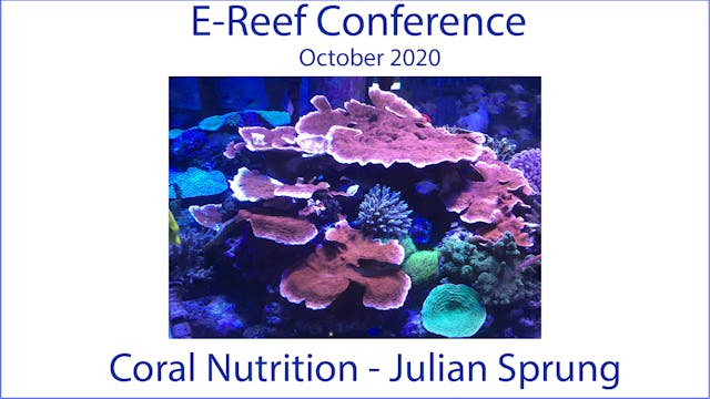 Coral Nutrition (E-Reef Aquarium 2020)