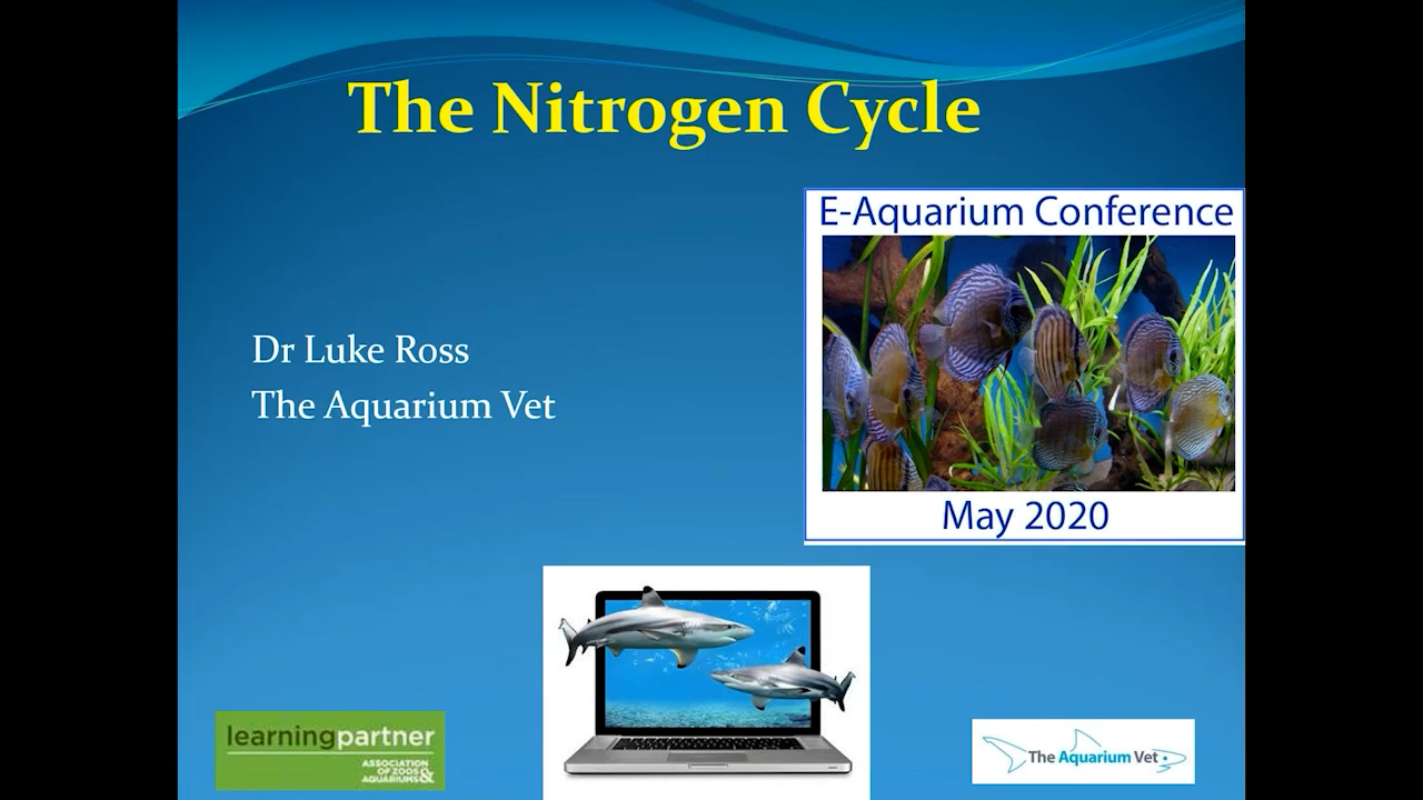 Nitrogen Cycle (E-Aquarium Conference 2020)