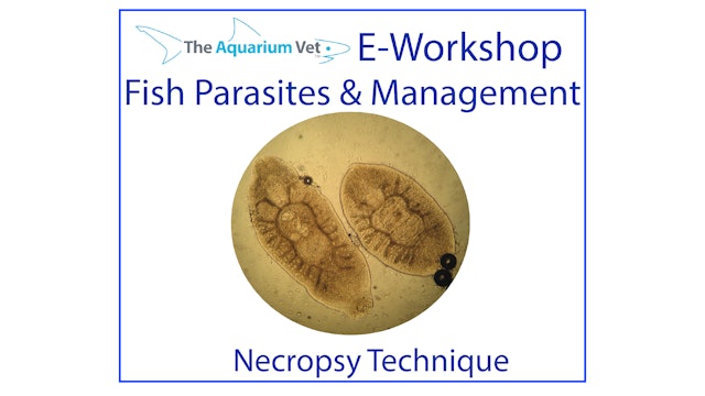 Necropsy Techniques (E-Workshop: Fish Parasites & Management 2020)