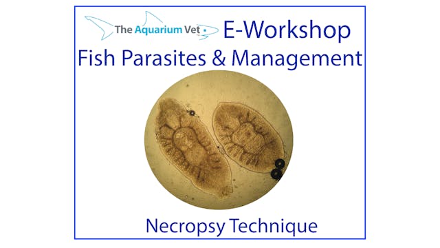 Necropsy Techniques (E-Workshop: Fish...