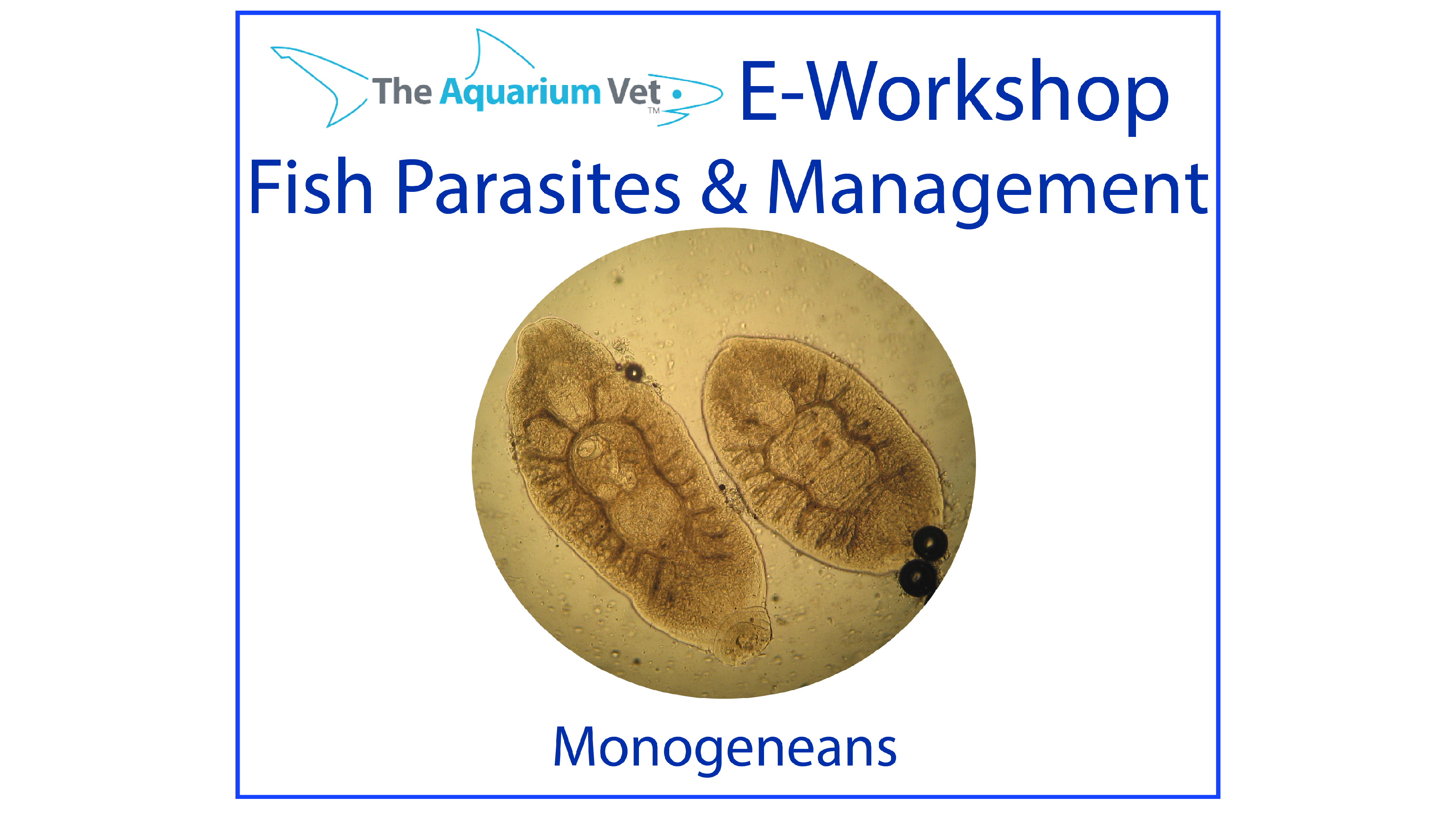 Monogeneans (aka Flukes) (E-Workshop: Fish Parasites & Management 2020)