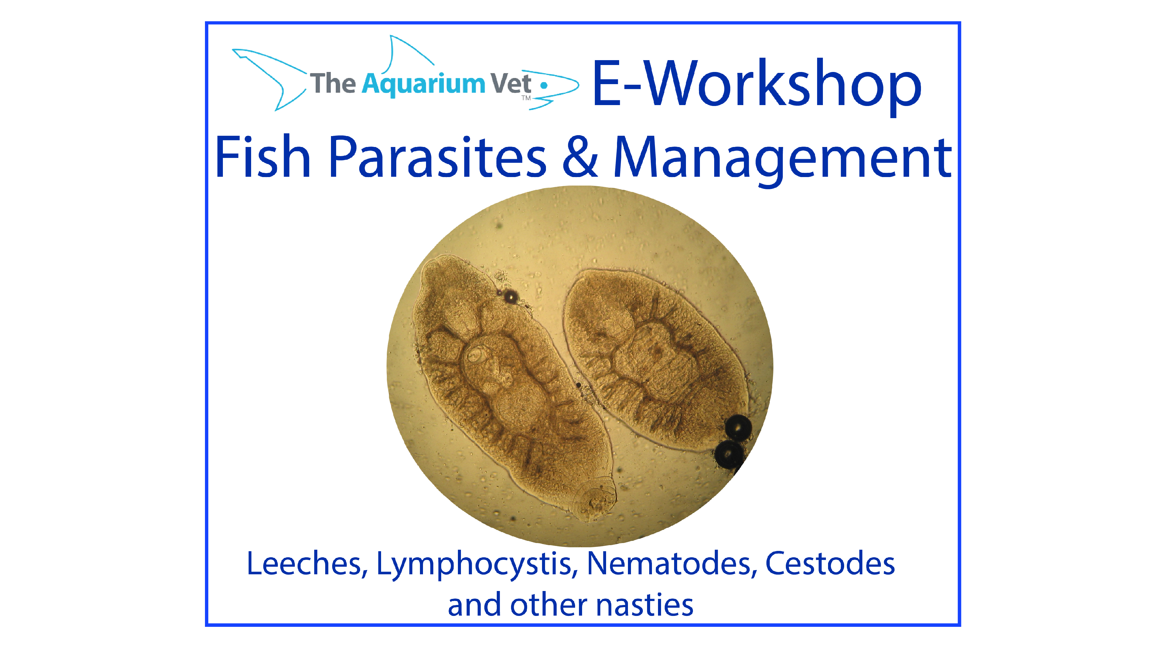 Leeches and other Nasties (E-Workshop: Fish Parasites & Management 2020)
