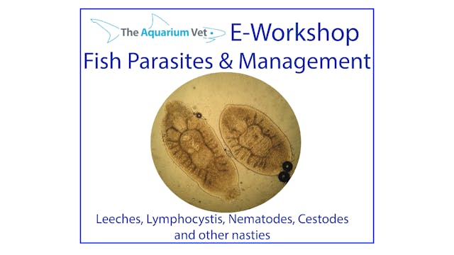 Leeches and other Nasties (E-Workshop...